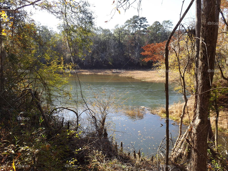 Oconee River 