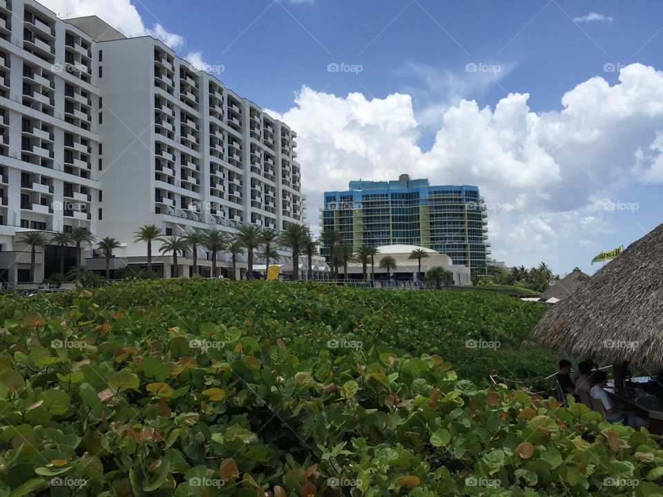 Fort Lauderdale Beach