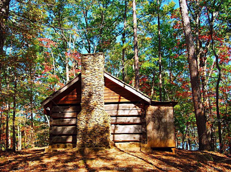 Old log cabin homestead