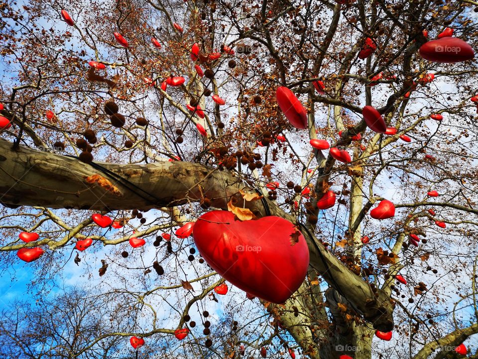 Arbol de Corazones