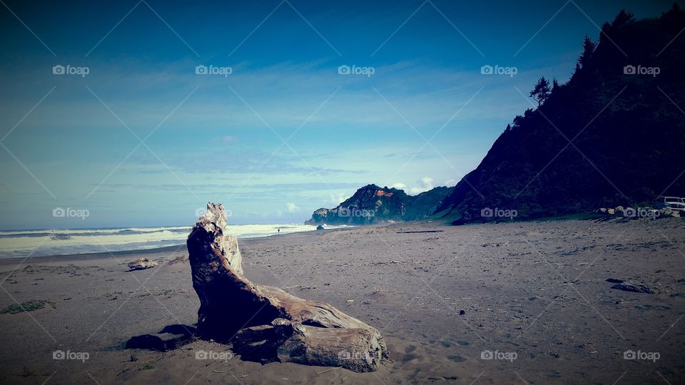 Drift wood on beach. Log on a beach with hills.