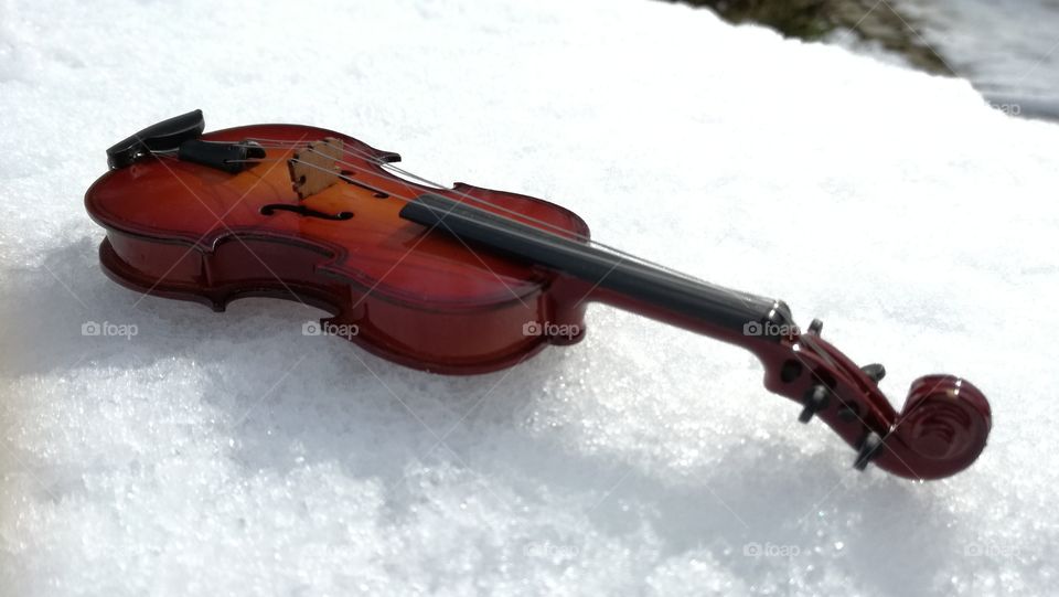 #violin#stringed instrument#music#classic music#noperson