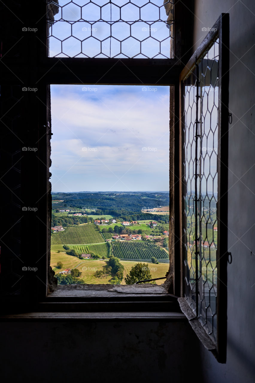 Window view 