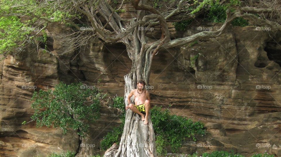 Man on tree