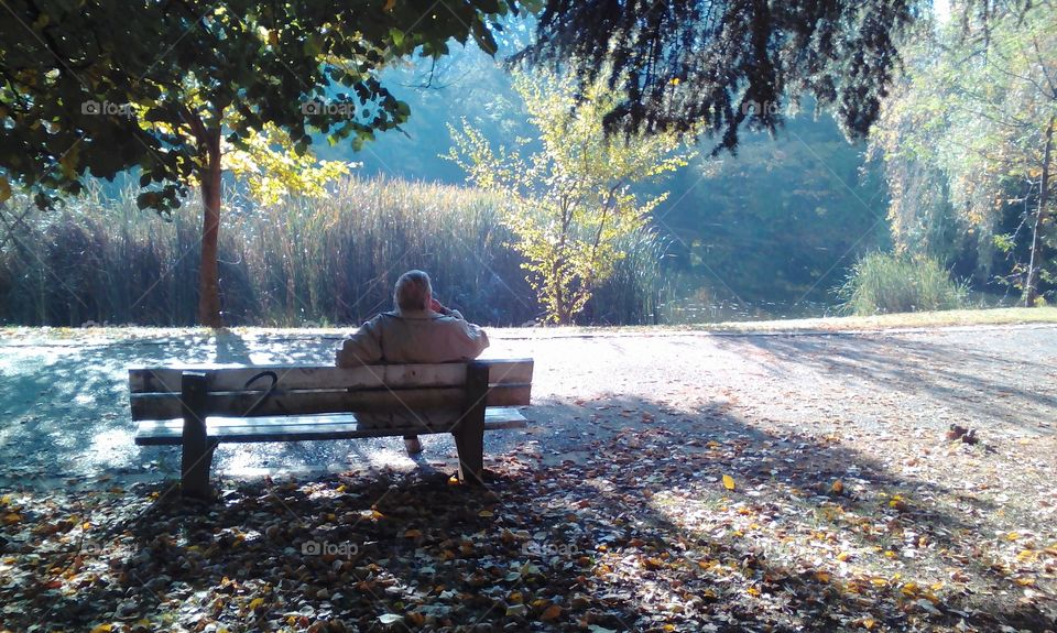 Autumn view with a bench