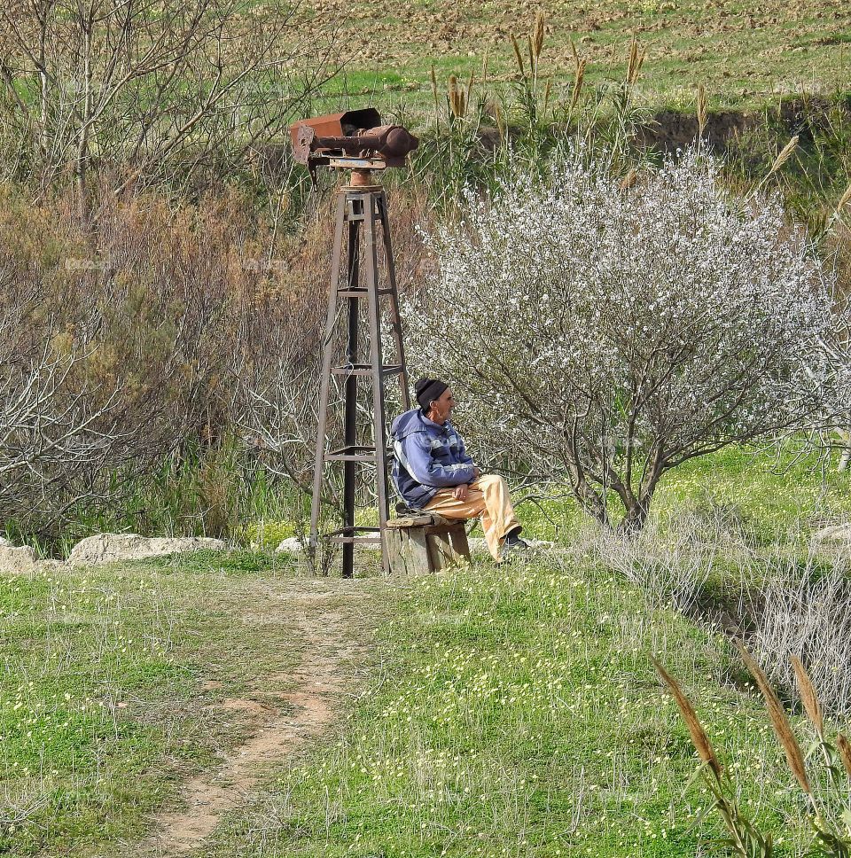 Man by almond tree