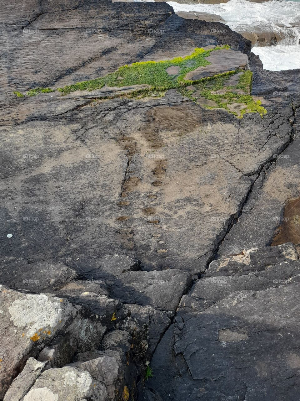 Tetrapod footprints close up, oldest footprints, amazing