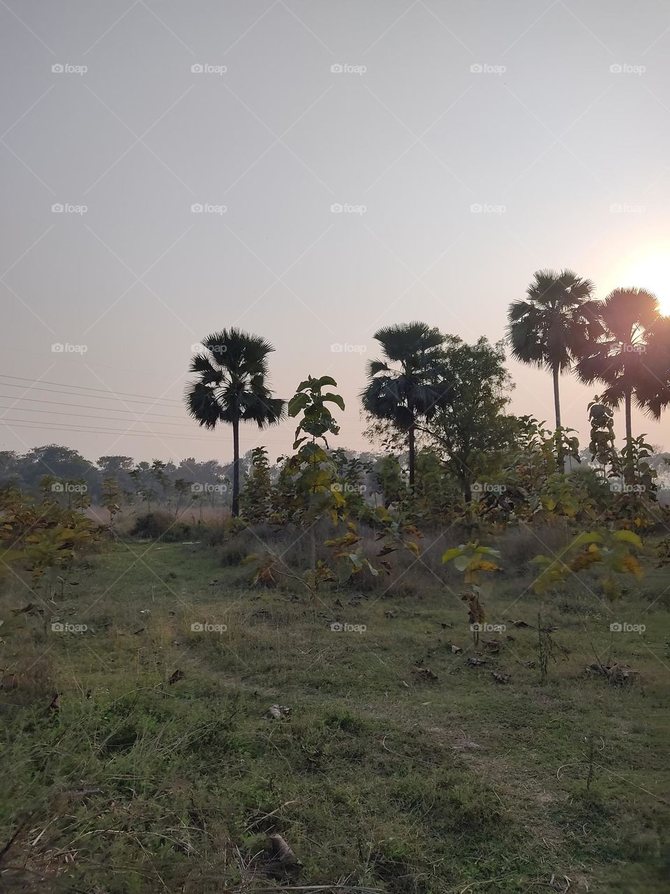 😍🌴🌴🌴🌴📸