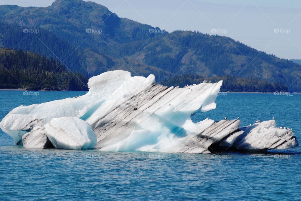 Chunk of ice floating a few miles from Meares Glacier