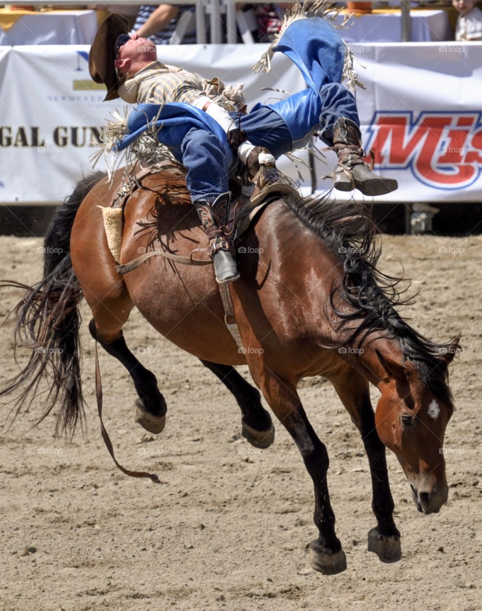 Bronc riding at the rodeo