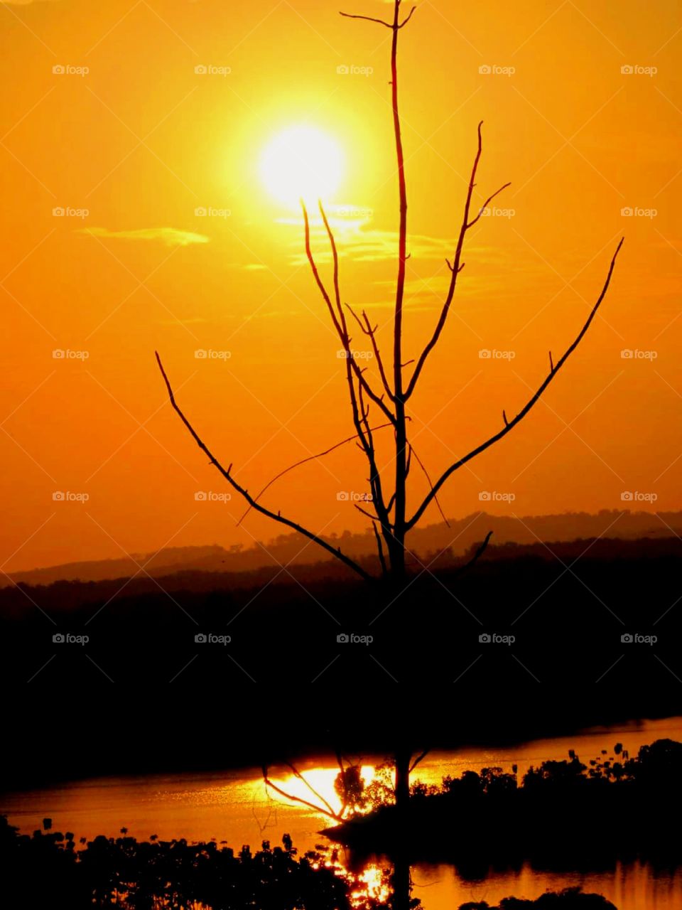The sun is setting over the Greneng reservoir,Blora City,Central Java,Indonesia