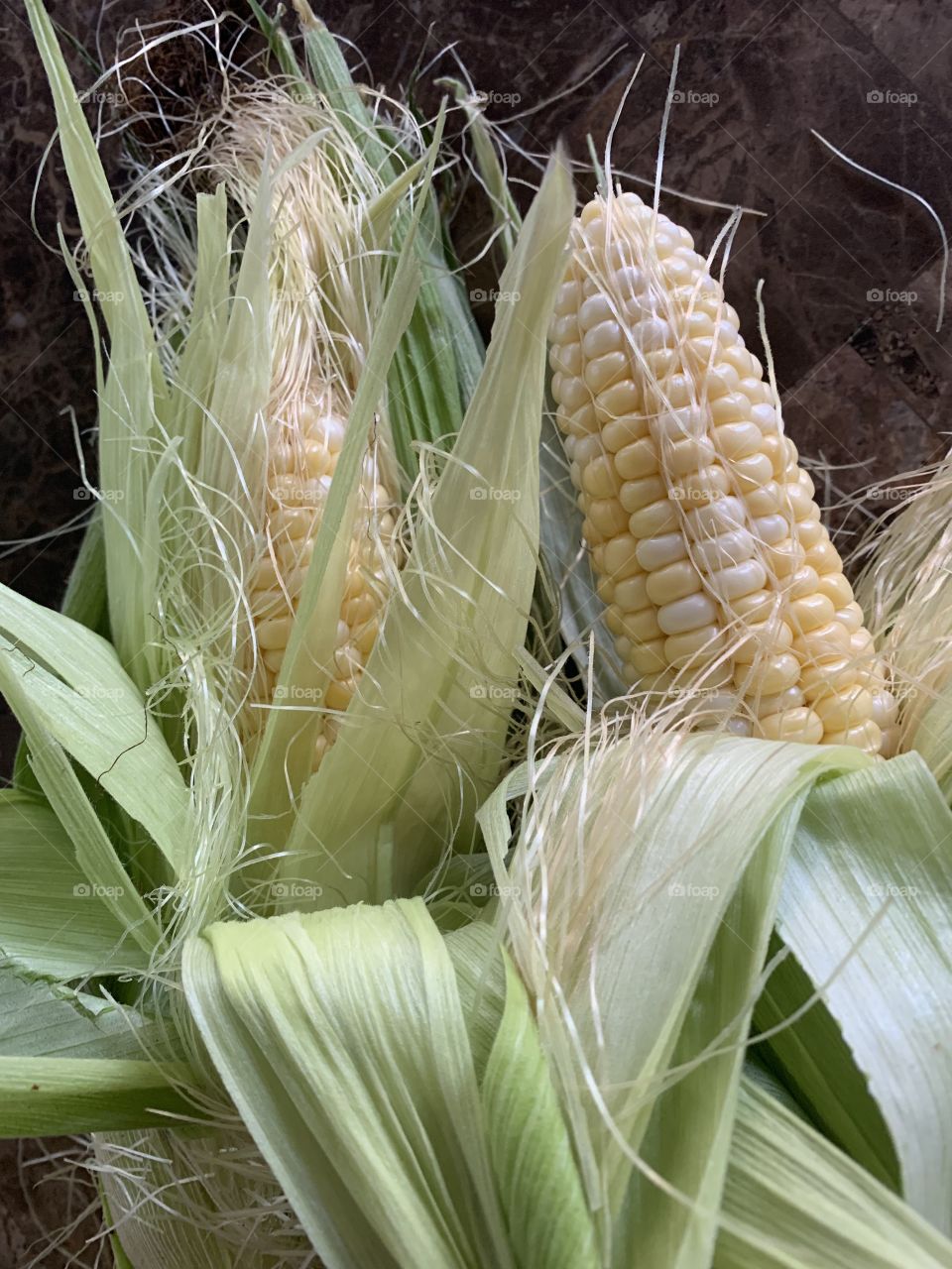 Fresh corn on the cob