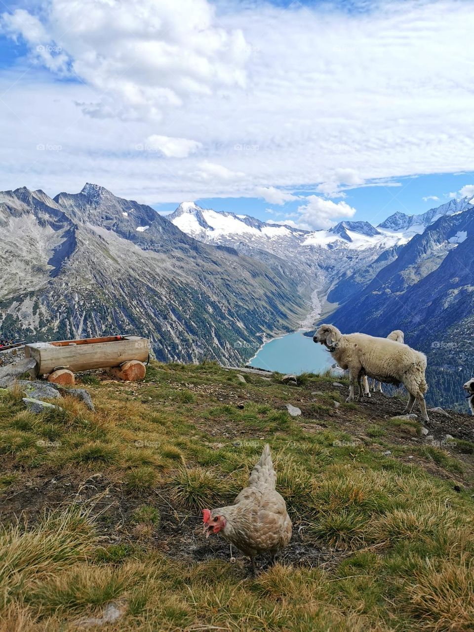 Olpererhütte, Austria