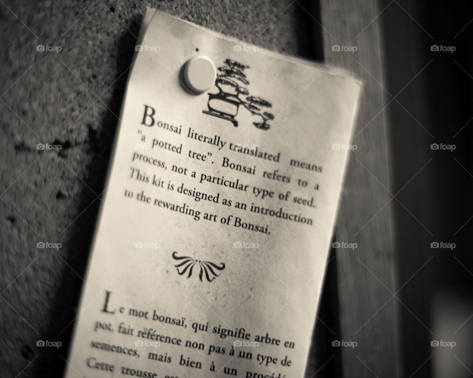 A short lesson on bonsai