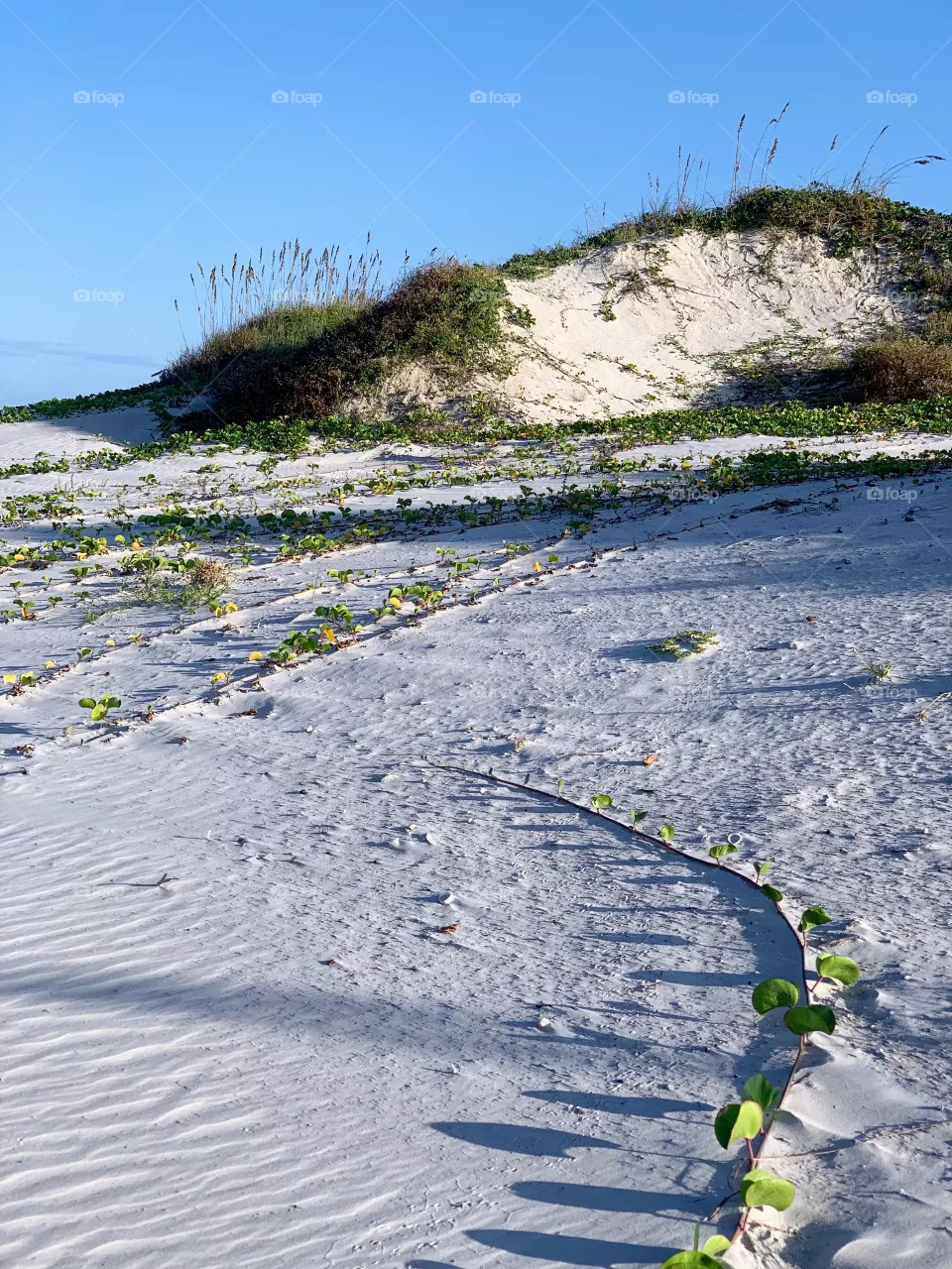 Beach Access