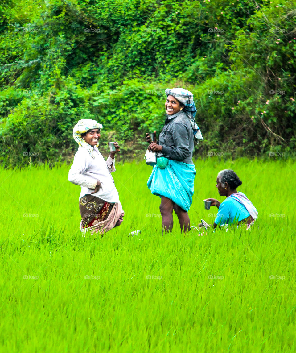 A story of weed pluckers who was very happy doing their work #agriculture