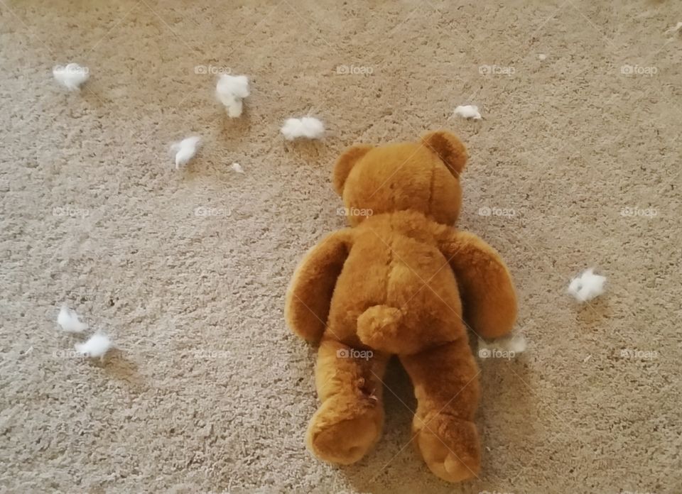 My pup's teddy bear didn't have a very long life...