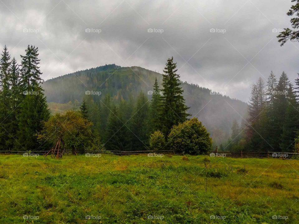 carpathian mountains landscape with fog