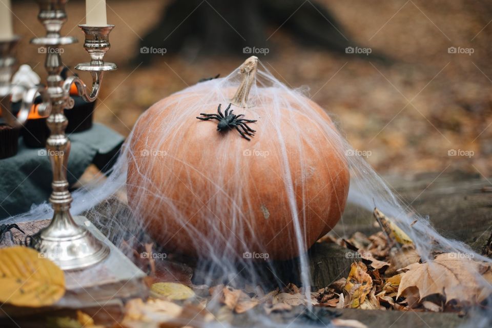 Close-up of halloween pumpkin