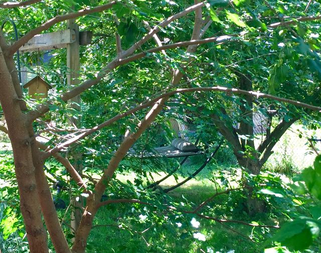Garden hideaway
