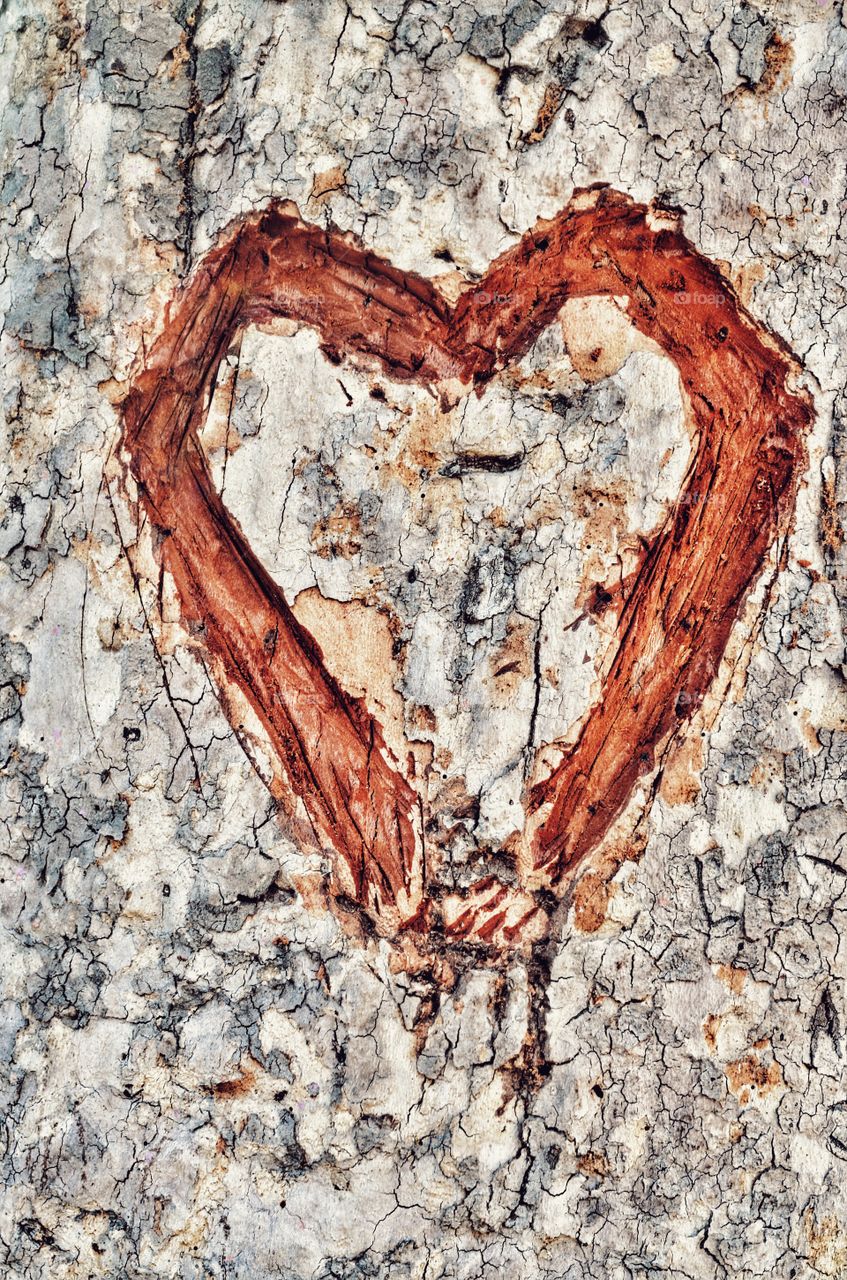A heart shape scribbled on the tree trunk. 