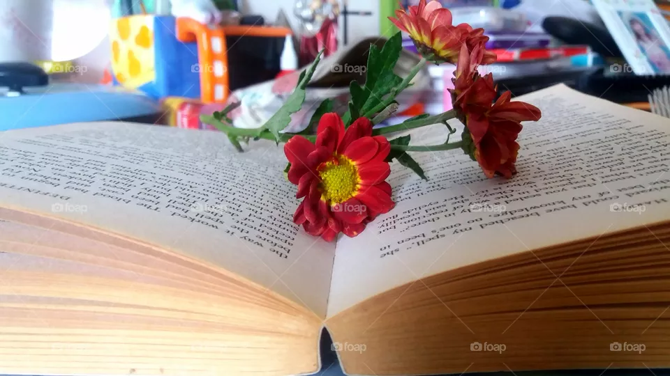 FLOWER
