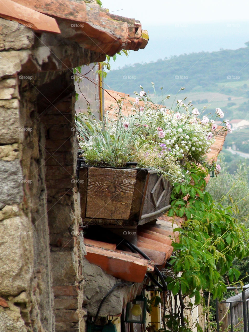 Vintage wooden flower pot.