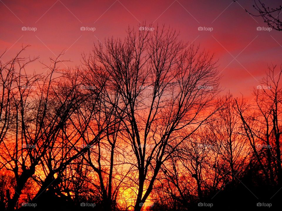 Sunset cool sky