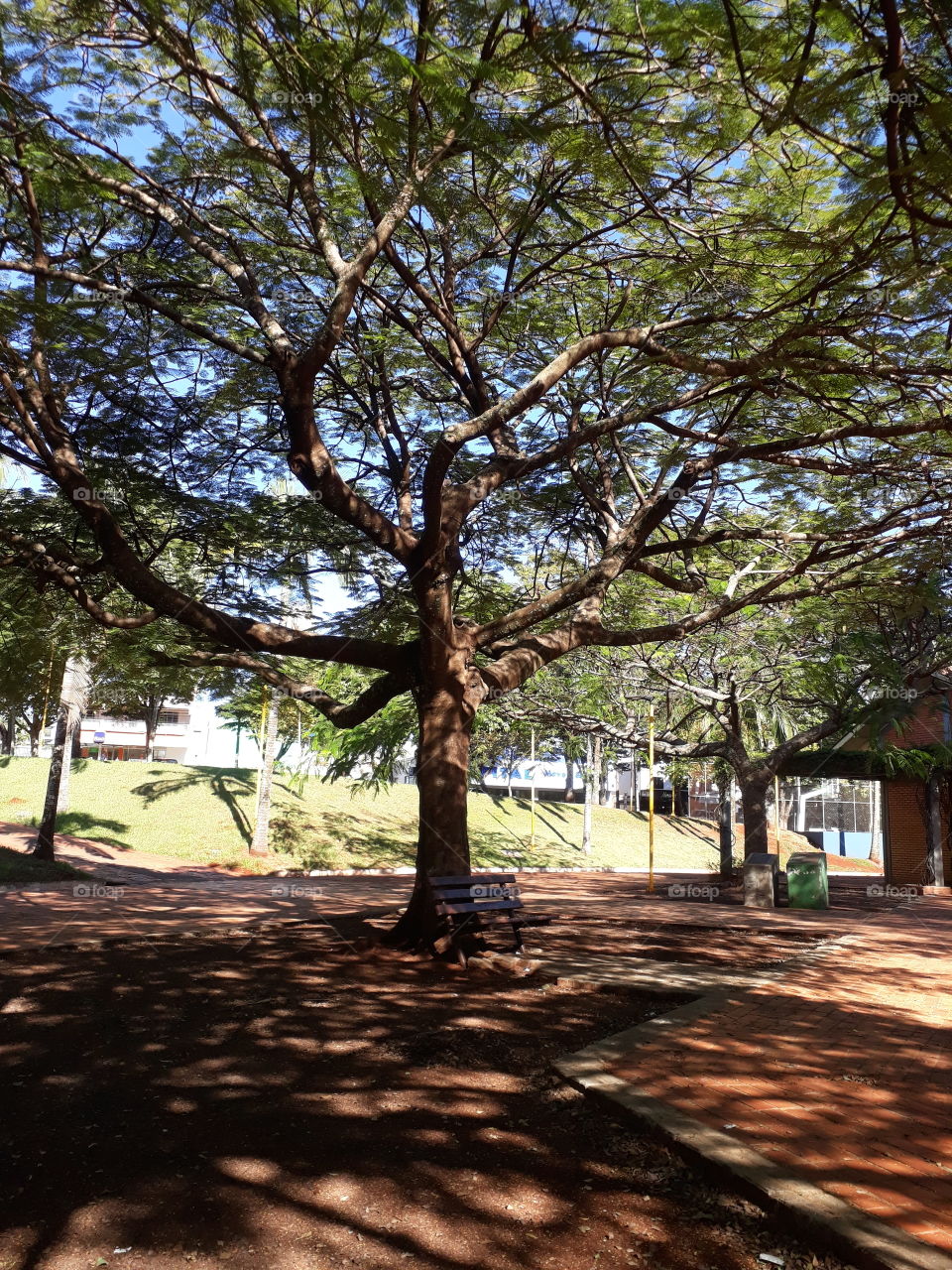 Praça Brasília, Cafelândia Paraná Brasil