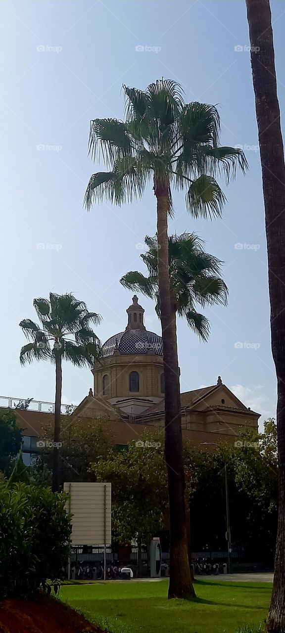 Edificio exposición universal del 29