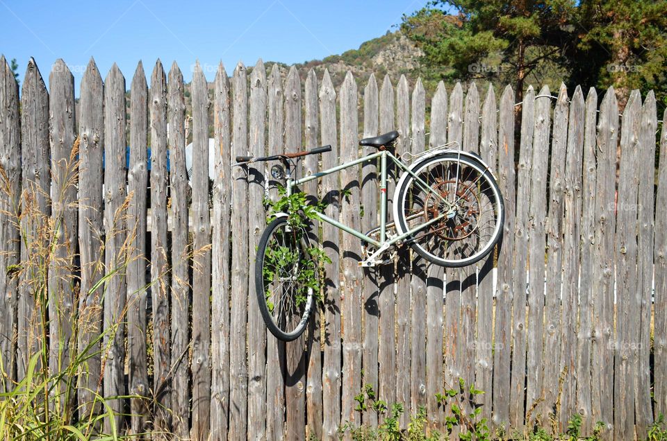 Bicycle Hanging on Fence