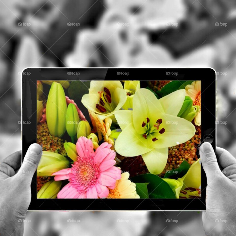 Flower on a table