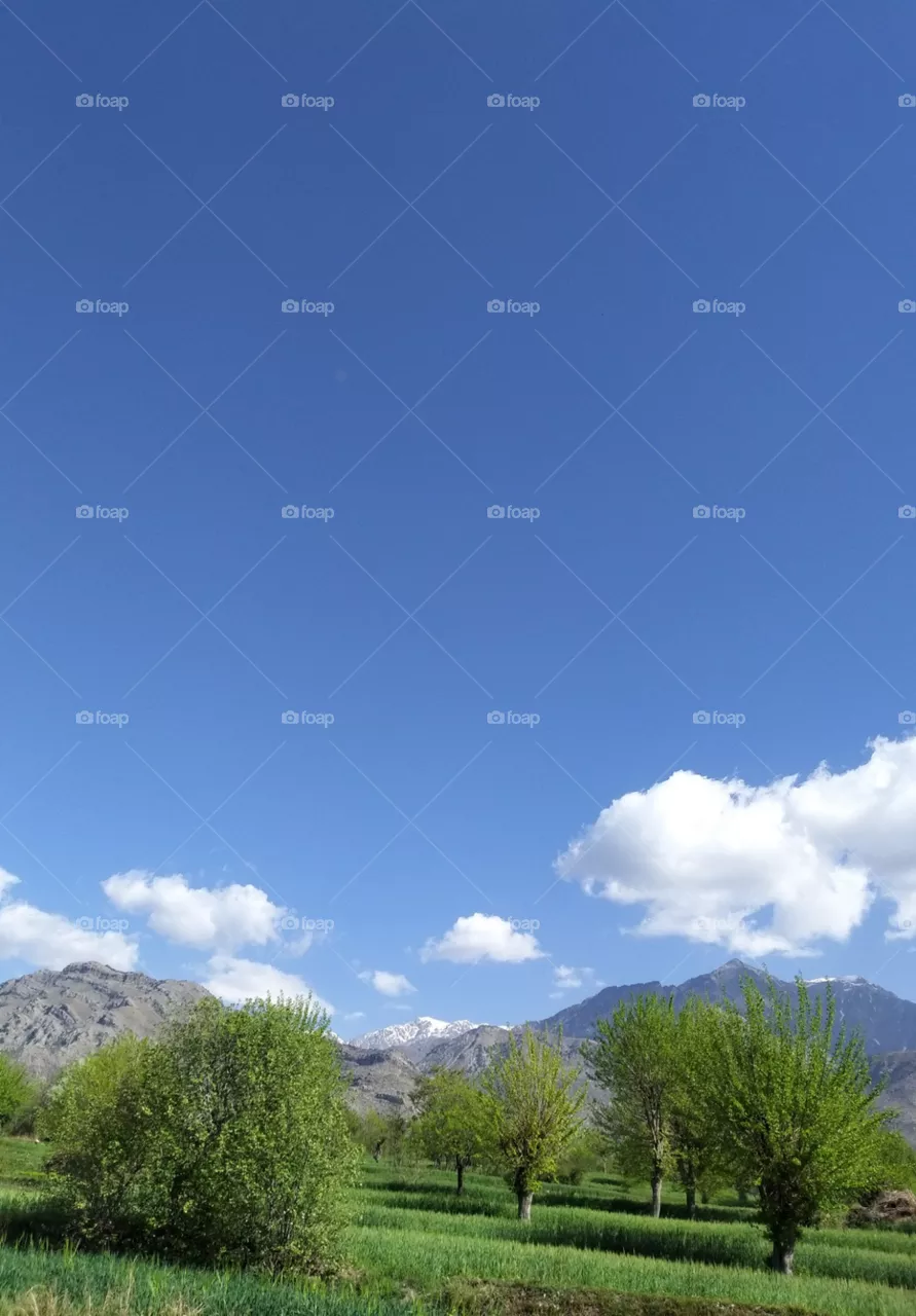 blue sky and clouds