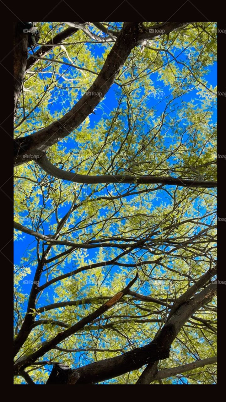 Today afternoon at Saguaro lake! 