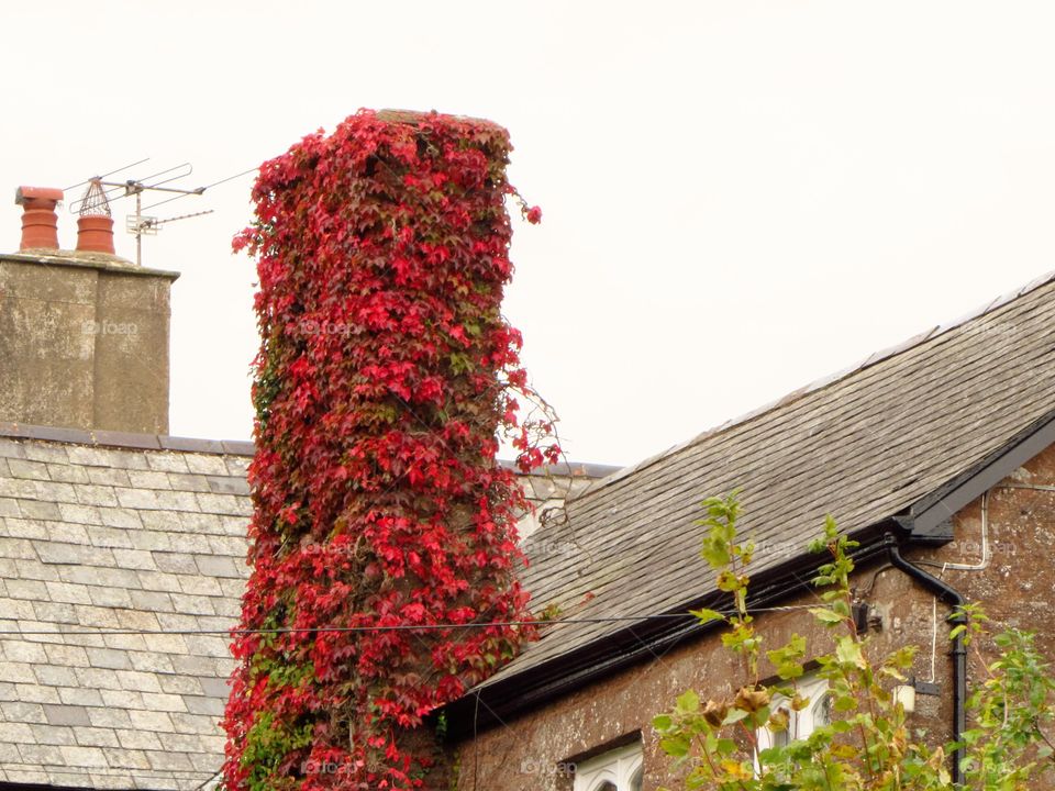 carpeted chimney stack