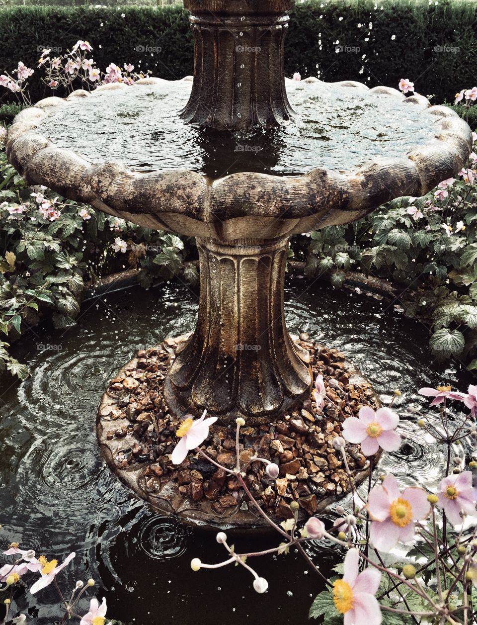 Old water fountain 