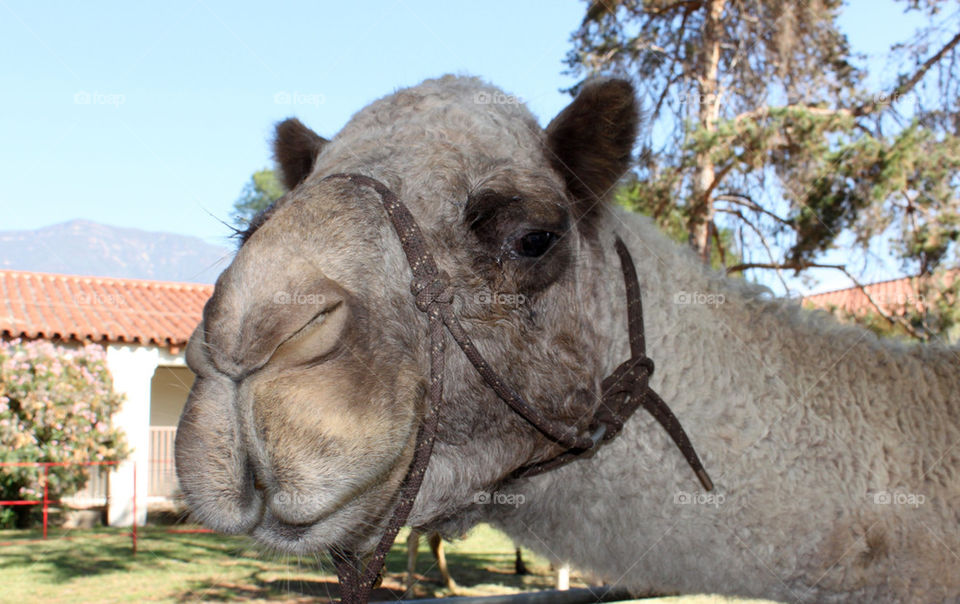 nature closeup outdoor travel by hlehnerer