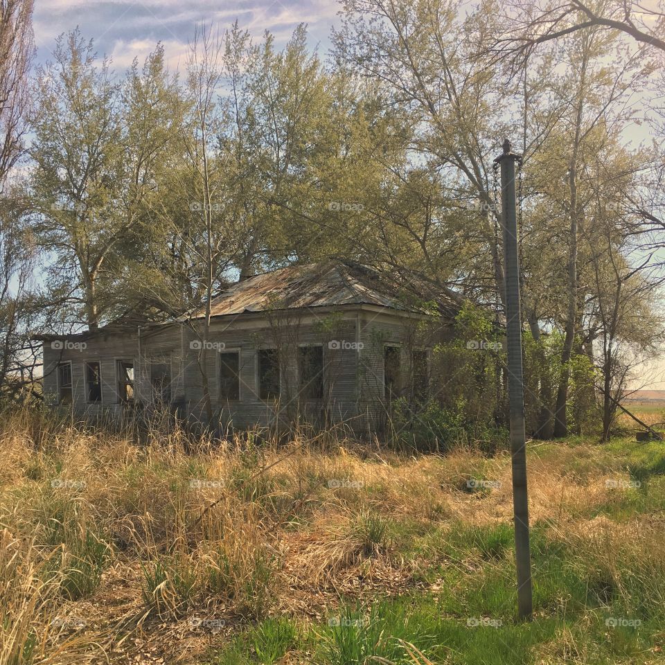 Abandoned Mohler WA schoolhouse 