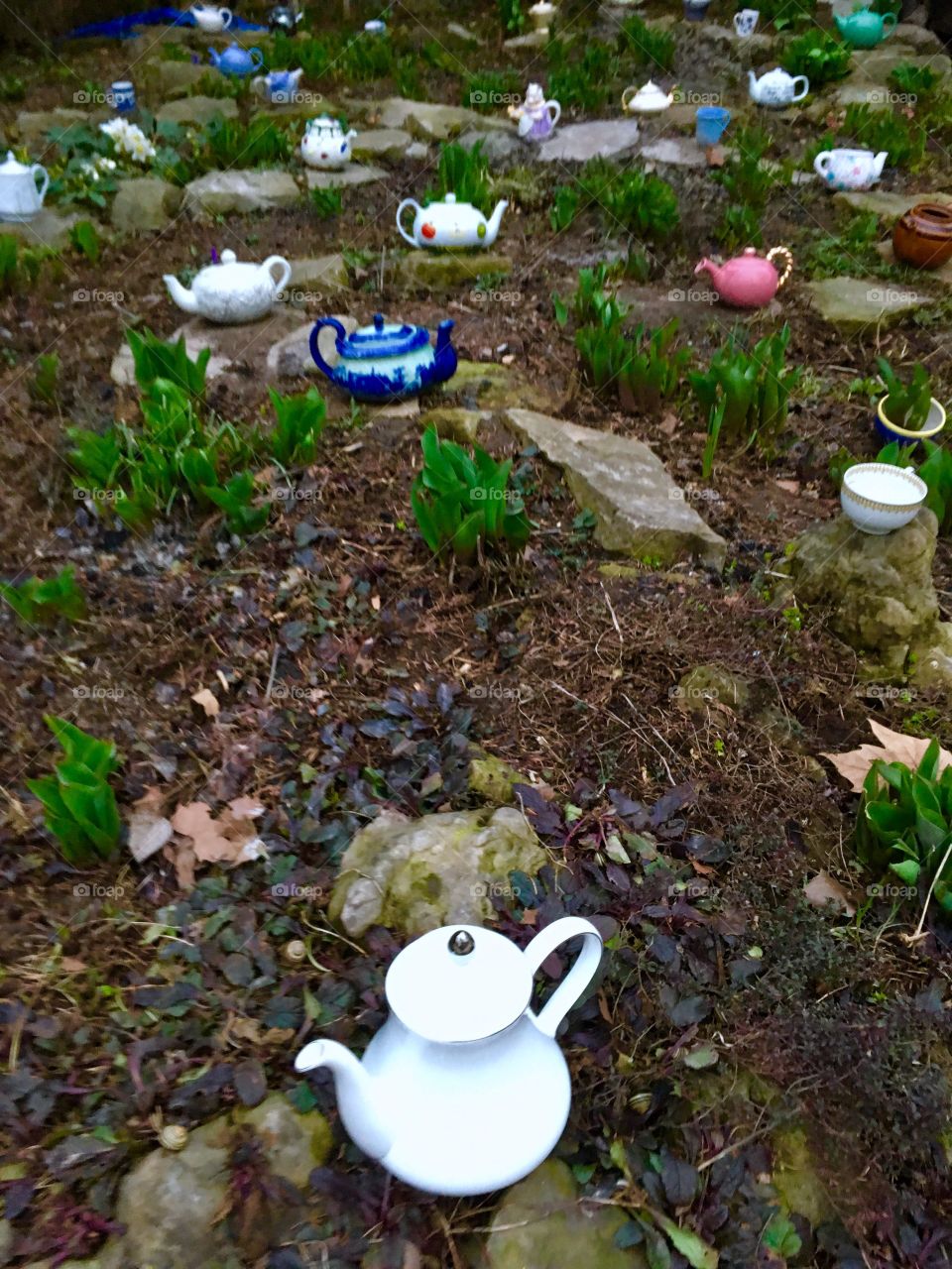 Teapot Garden