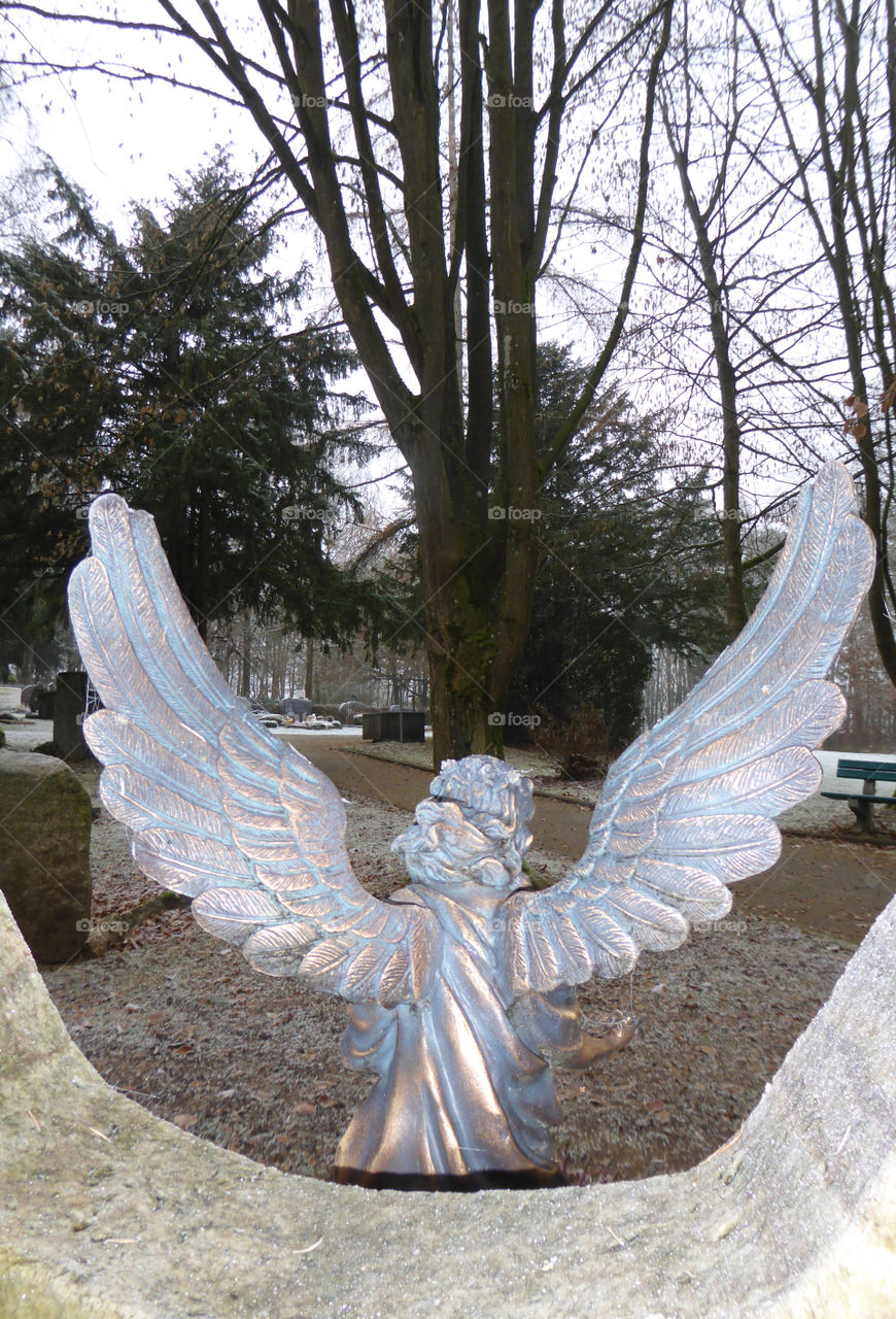 at a cemetery in the forest