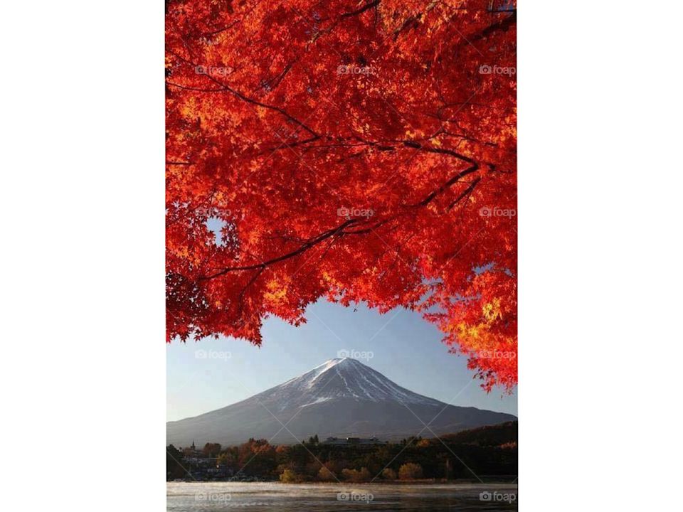 Mount Fuji Japan 