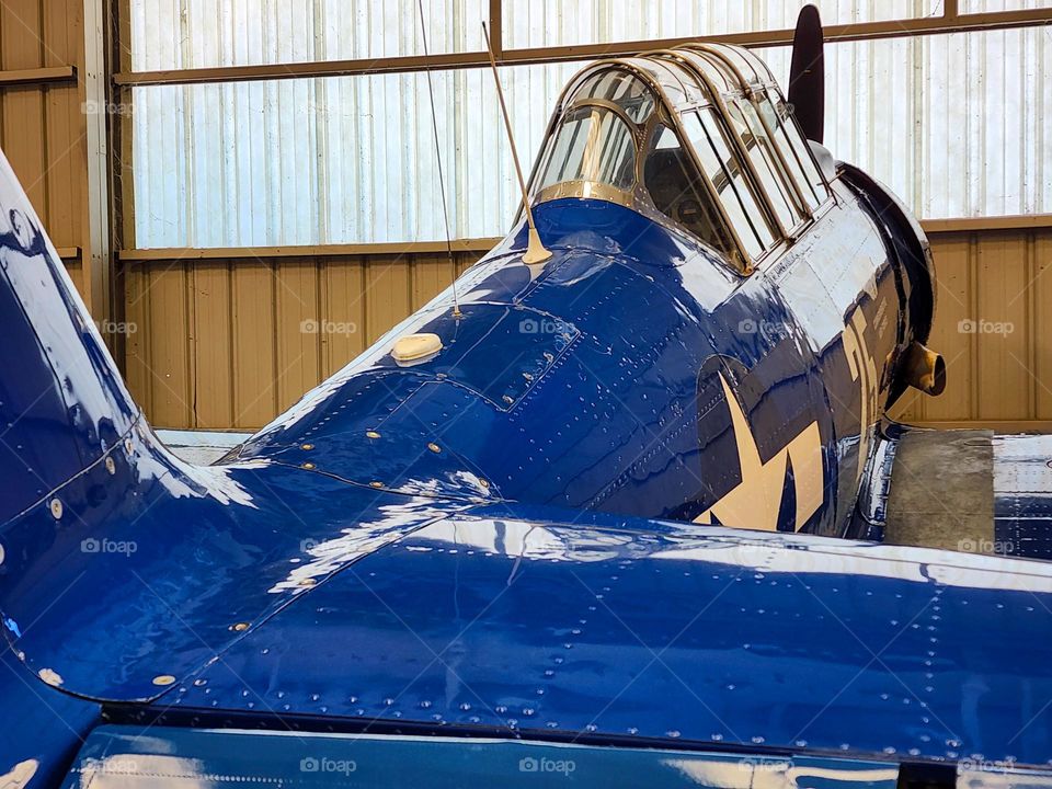 A 1940's World War 2 US Navy SNJ trainer airplane that has been perfectly restored sits in a hangar