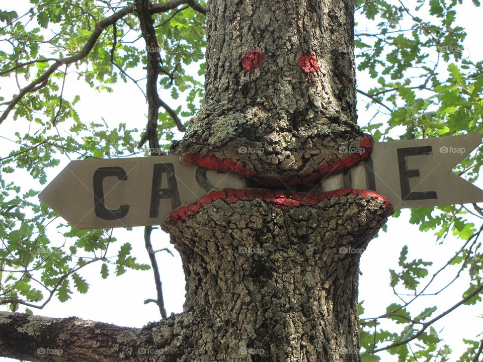 Tree sign