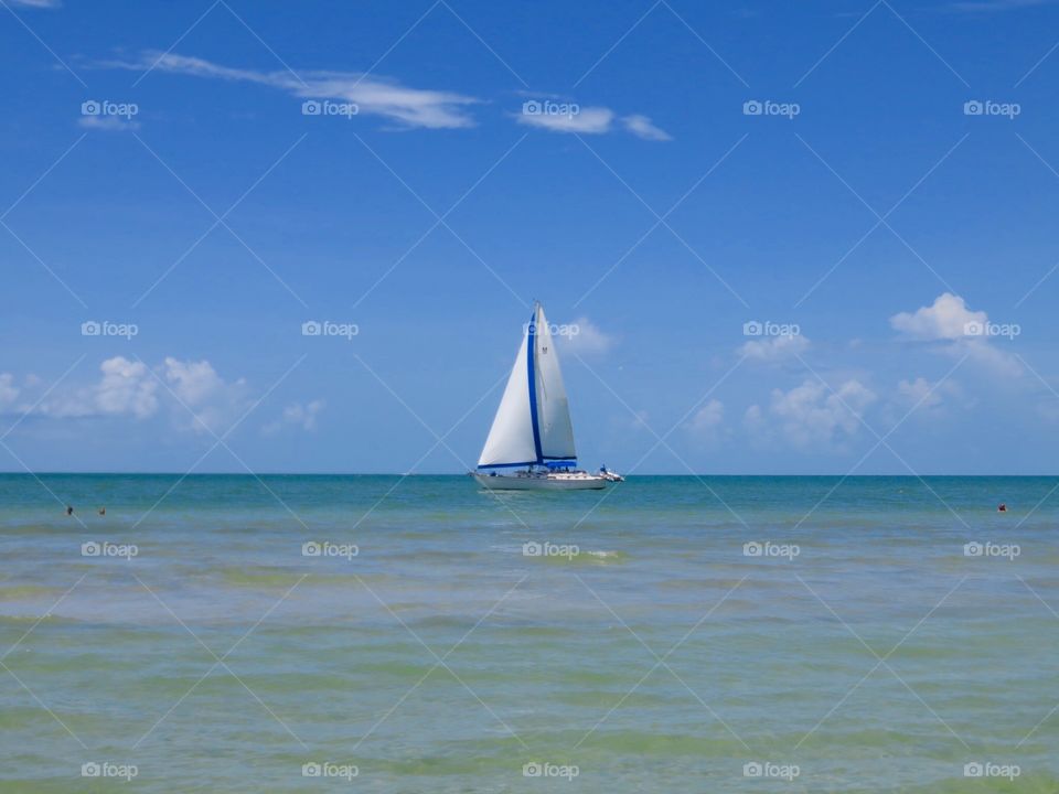 Sail Away. Sailboats 