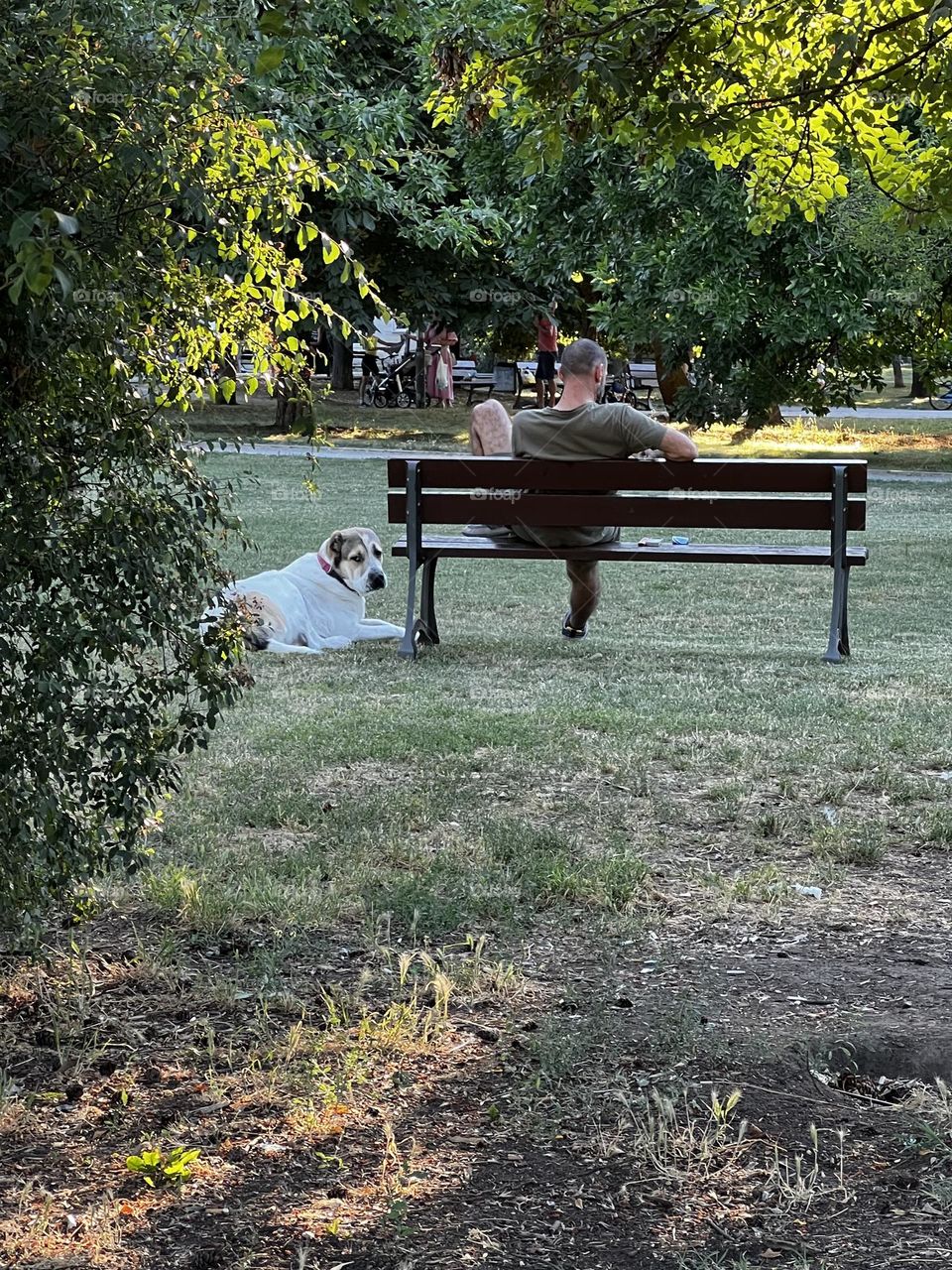 Relaxing in the park during hot summer day 