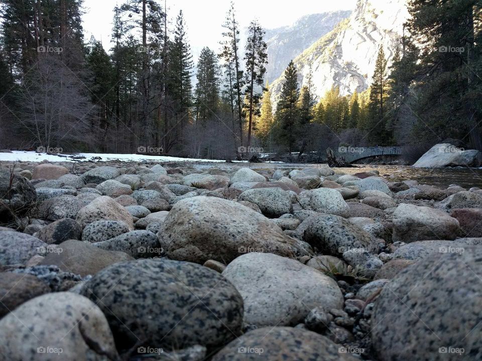 Yosemite stream
