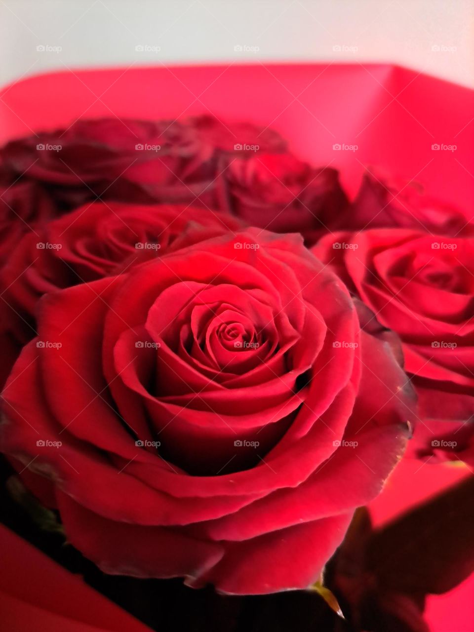 Red roses