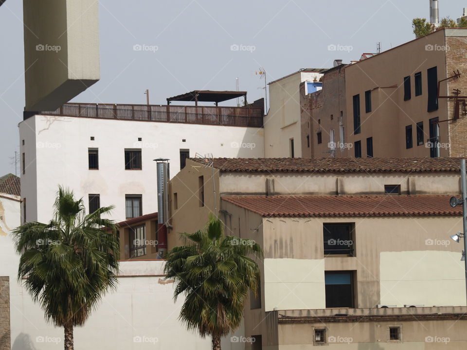 Eclecticismo en la plaza del MACBA