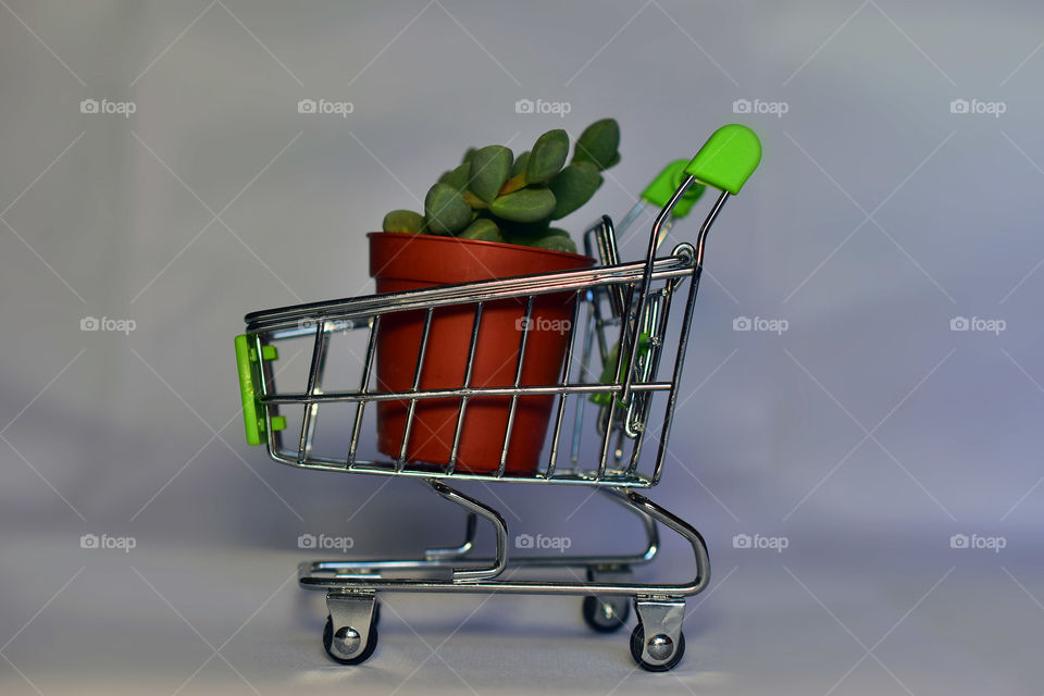 Shopping cart with pot