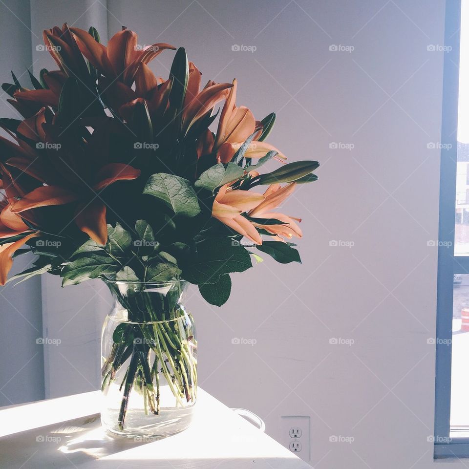 Flowers in the window 